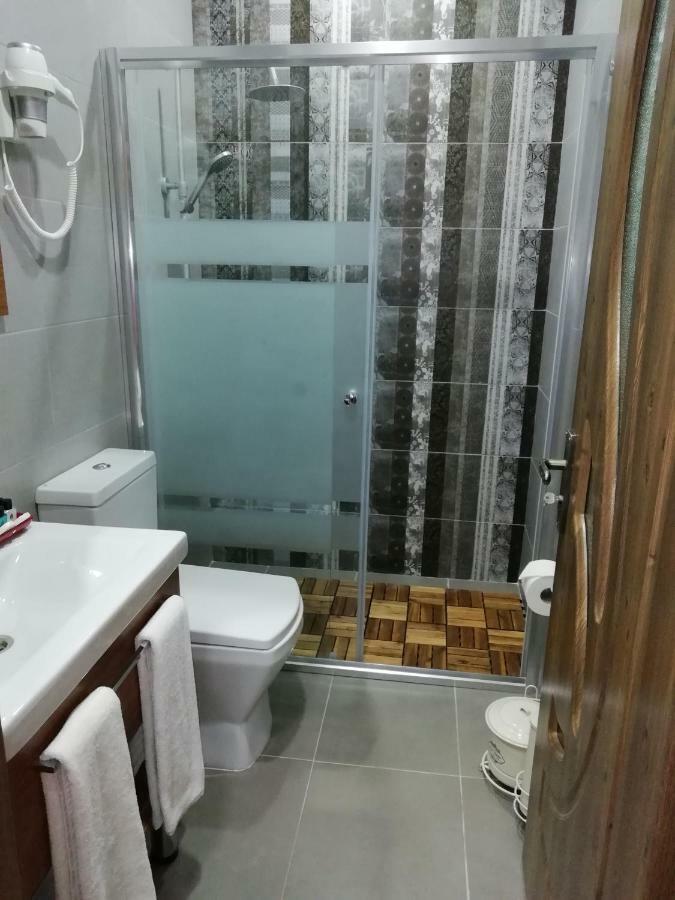 Palm 3*